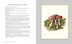 Alternative view 8 of Growing Mushrooms for Beginners: A Simple Guide to Cultivating Mushrooms at Home
