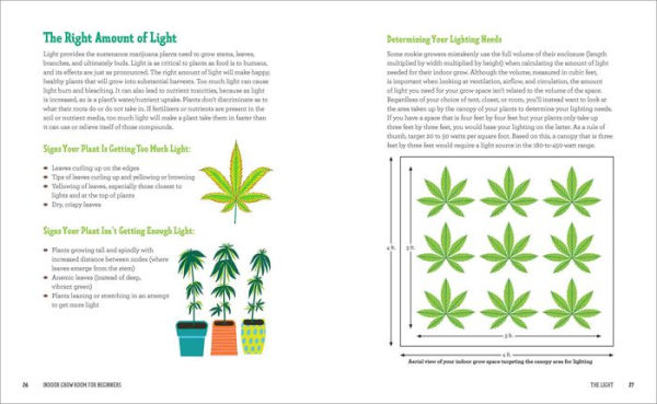 Indoor Grow Room for Beginners: A Step-By-Step Guide to Growing Marijuana