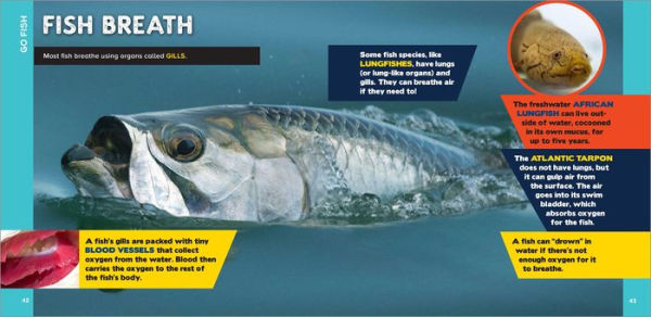 The Fascinating Ocean Book for Kids: 500 Incredible Facts!