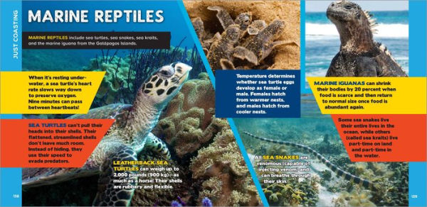 The Fascinating Ocean Book for Kids: 500 Incredible Facts!