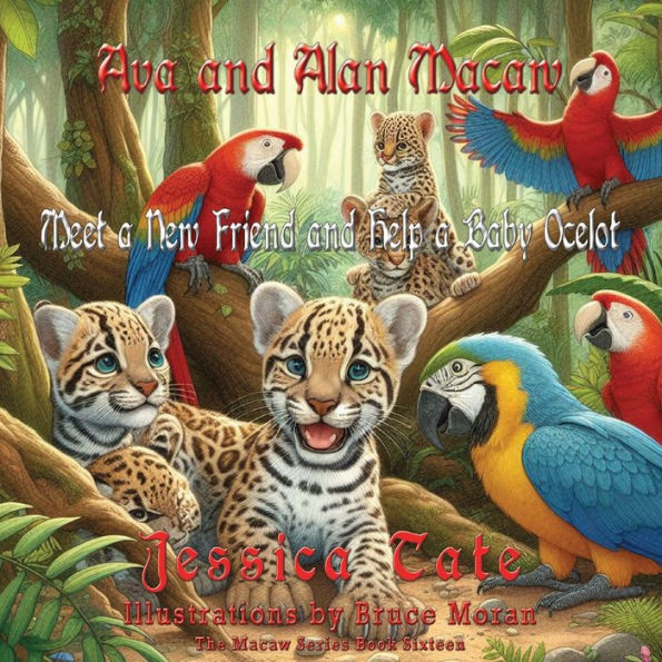 Ava and Alan Macaw Meet a New Friend Help Baby Ocelot