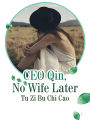 CEO Qin, No Wife Later: Volume 6