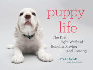 Title: Puppy Life: The First Eight Weeks of Bonding, Playing, and Growing, Author: Traer Scott