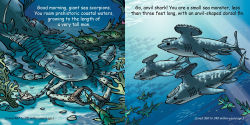 Alternative view 2 of Good Night Sea Monsters