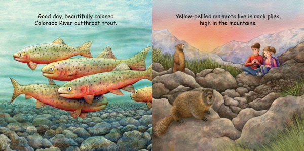 Good Night Colorado Animals