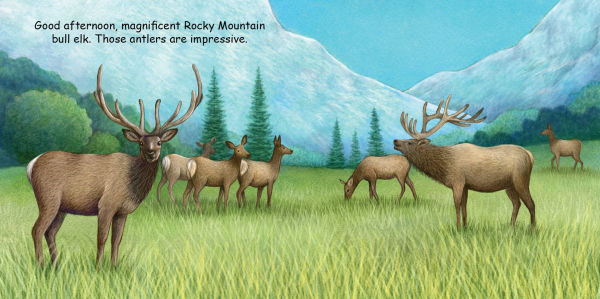 Good Night Colorado Animals