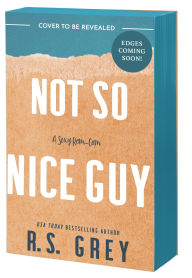 Title: Not So Nice Guy, Author: R.S. Grey