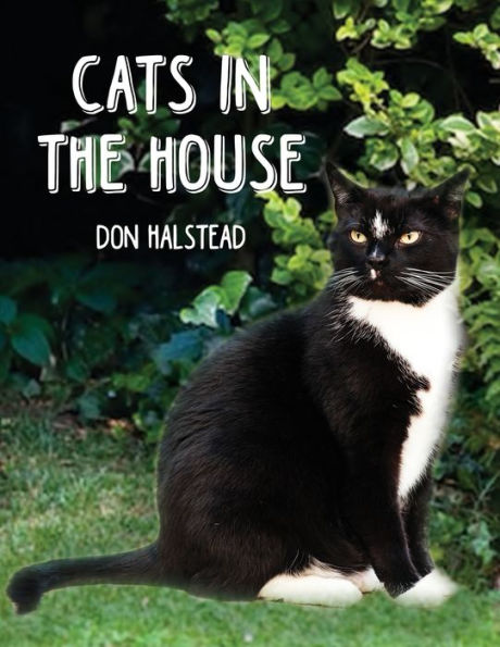 Cats the House