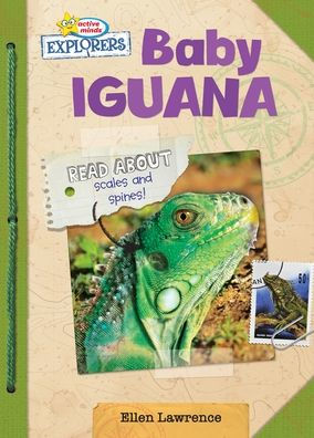 Baby Iguana