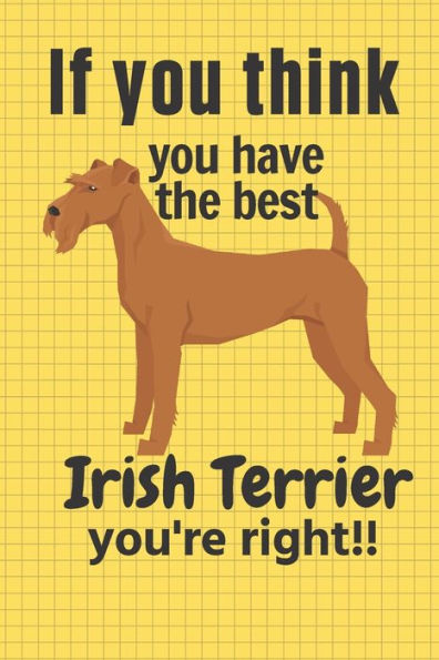 If you think you have the best Irish Terrier you're right!!: For Irish Terrier Dog Fans