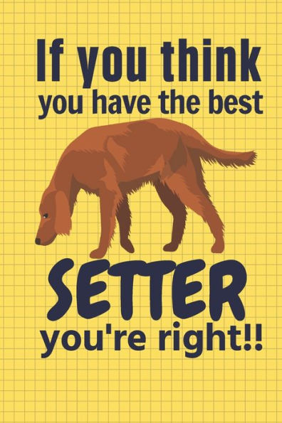 If you think you have the best Setter you're right!!: For Setter Dog Fans