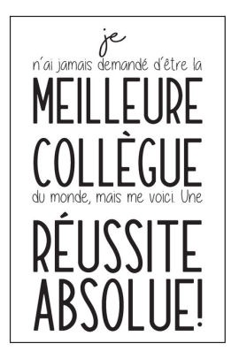 Je N Ai Jamais Demande D Etre La Meilleure Collegue Du Monde Mais Me Voici Une