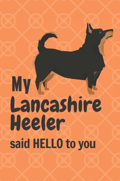My Lancashire Heeler said HELLO to you: For Lancashire Heeler Dog Fans