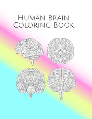 Download Human Brain Coloring Book: Brain Art & Anatomy Workbook for Kids & Adults - Stress-free ...