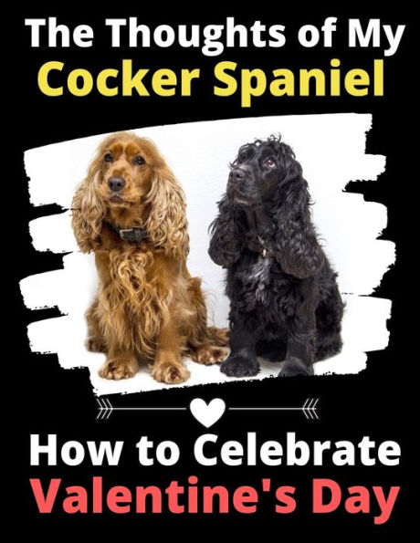 The Thoughts of My Cocker Spaniel: How to Celebrate Valentine's Day