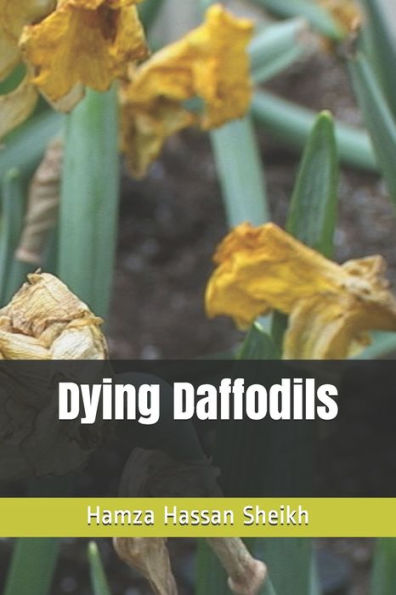 Dying Daffodils