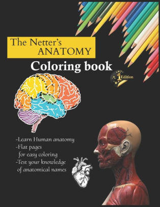 Download Anatomy Coloring Book Learn Anatomy While You Coloring By Bioko Publisher Paperback Barnes Noble