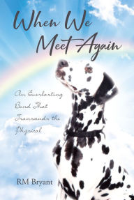 Title: When We Meet Again: An Everlasting Bond That Transcends the Physical, Author: RM Bryant