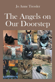 Title: The Angels on Our Doorstep, Author: Jo Anne Tressler