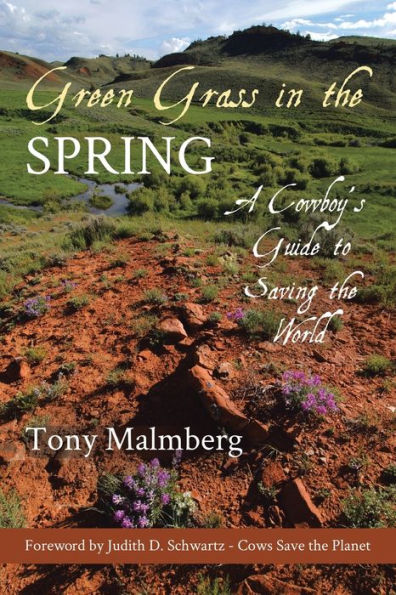 Green Grass in the Spring: A Cowboy's Guide to Saving the World