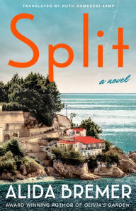Split: A Novel