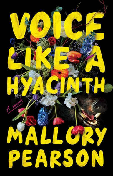 Voice Like a Hyacinth: A Novel