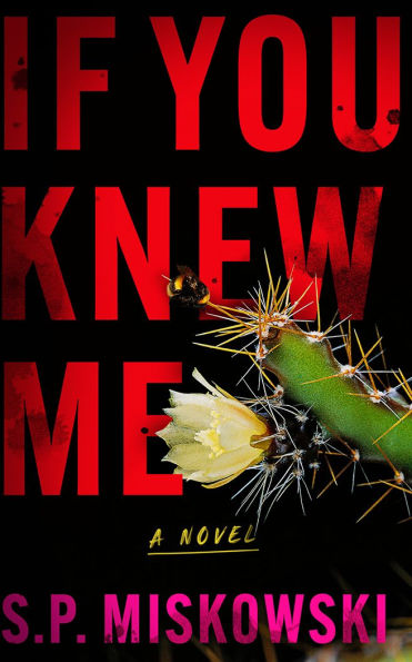 If You Knew Me: A Novel