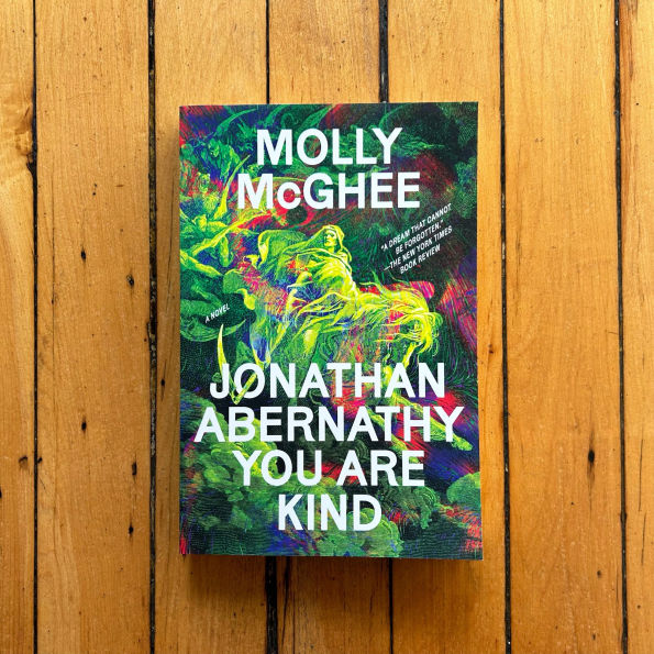 Jonathan Abernathy You Are Kind: A Novel