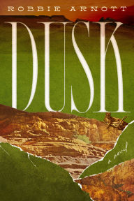 Free mobile ebook to download Dusk: A Novel MOBI DJVU FB2 9781662603303 (English literature)
