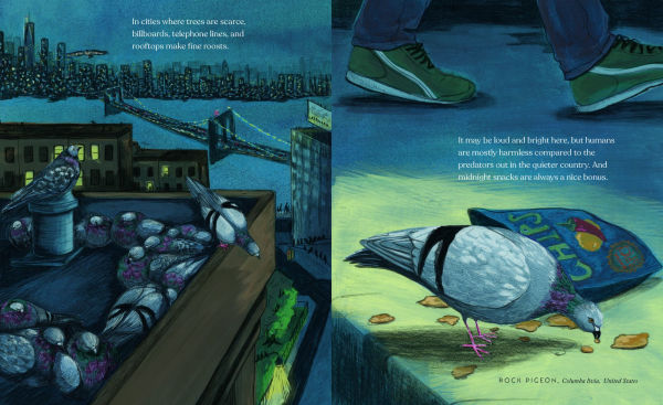 How Birds Sleep