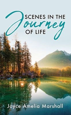 Scenes in the Journey of Life