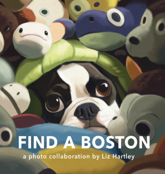 Find a Boston