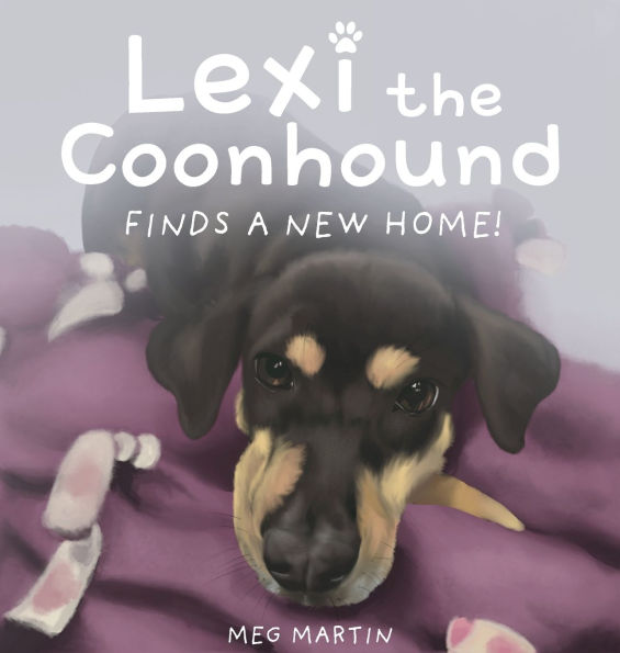 Lexi the Coonhound Finds a New Home!