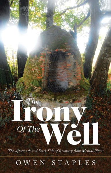 The Irony of Well: Aftermath and Dark Side Recovery from Mental Illness