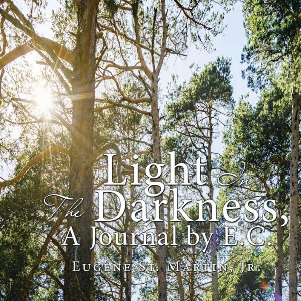 Light the Darkness, a Journal by E.C.
