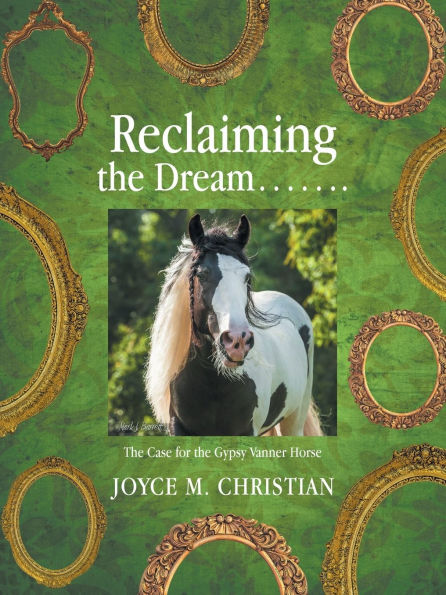 Reclaiming the Dream.......: Case for Gypsy Vanner Horse