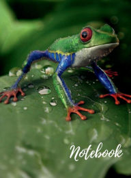 Title: Notebook: Large Exotic Frog Design Hardcover Notebook/Journal: Ruled, Letter Size (8.5 x 11) Composition Notebook, Author: Othen Cummings