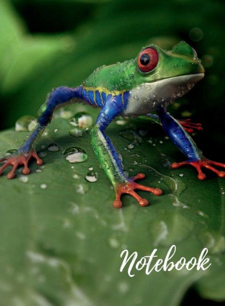 Notebook: Large Exotic Frog Design Hardcover Notebook/Journal: Ruled, Letter Size (8.5 x 11) Composition Notebook