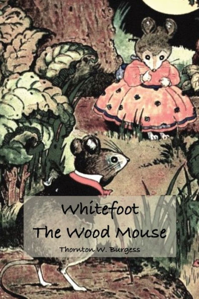 Whitefoot the Wood Mouse