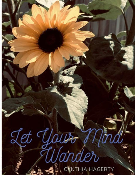 Let Your Mind Wander