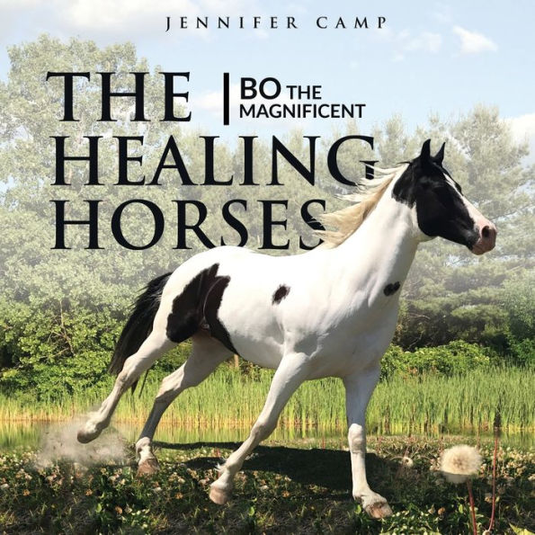 The Healing Horses: Bo The Magnificent