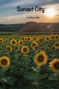 Title: Sunset City, Author: Caitlyn Bly