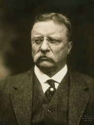 Title: Citizenship in a Republic: Speech at the Sorbonne, Paris, April 23, 1910, Author: Theodore Roosevelt