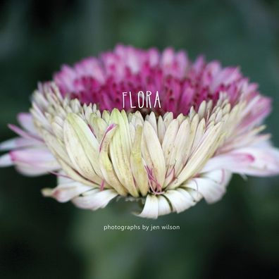 flora: flower photographs by jen wilson