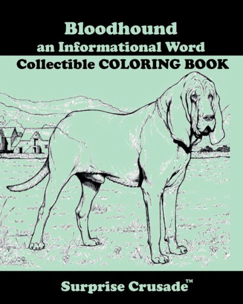 Bloodhound an Informational Word Collectible COLORING BOOK