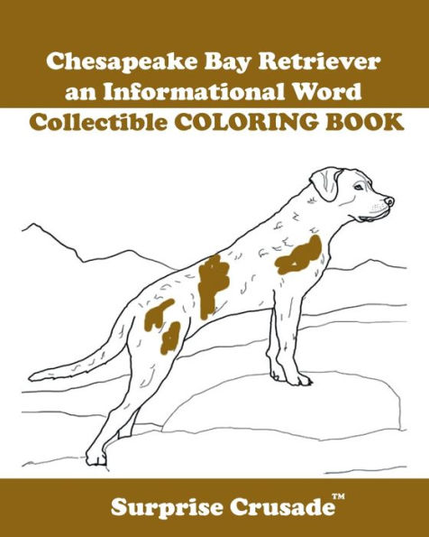 Chesapeake Bay Retriever an Informational Word Collectible COLORING BOOK