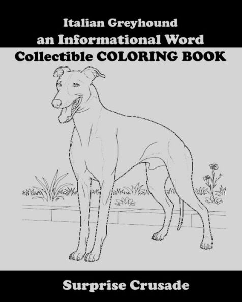 Italian Greyhound an Informational Word Collectible COLORING BOOK