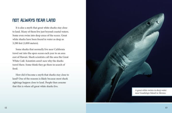 Busting Myths About Great White Sharks