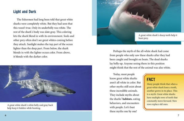 Busting Myths About Great White Sharks