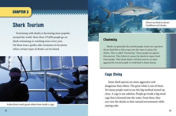 Swimming with Sharks: From Adventurers to Marine Biologists